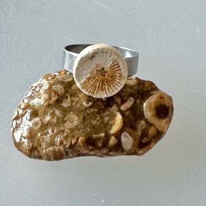 🐟Lake Michigan Rare Fossil Crinoid Star Adjustable Ring🐟